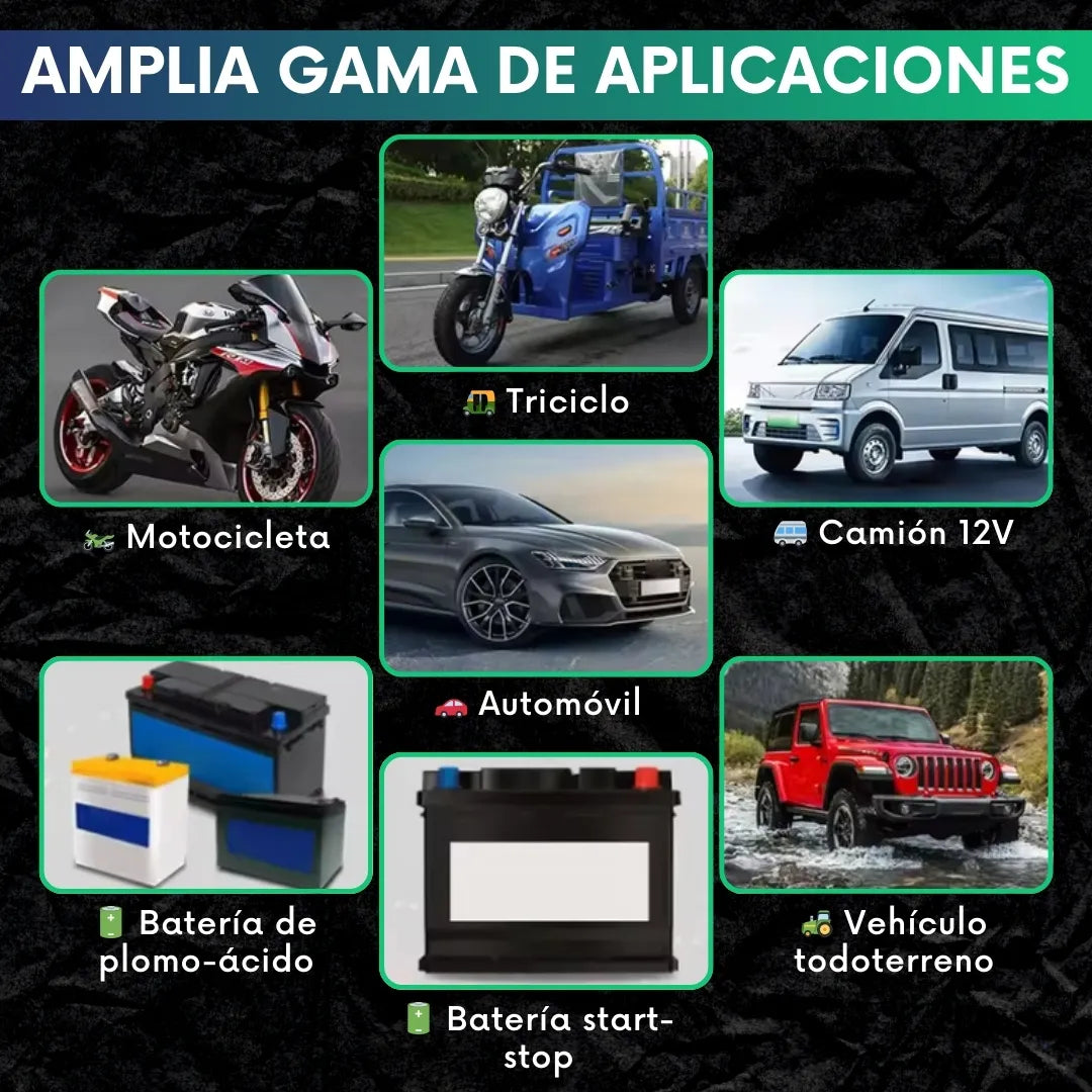 Cargador Reparador de baterias 12V