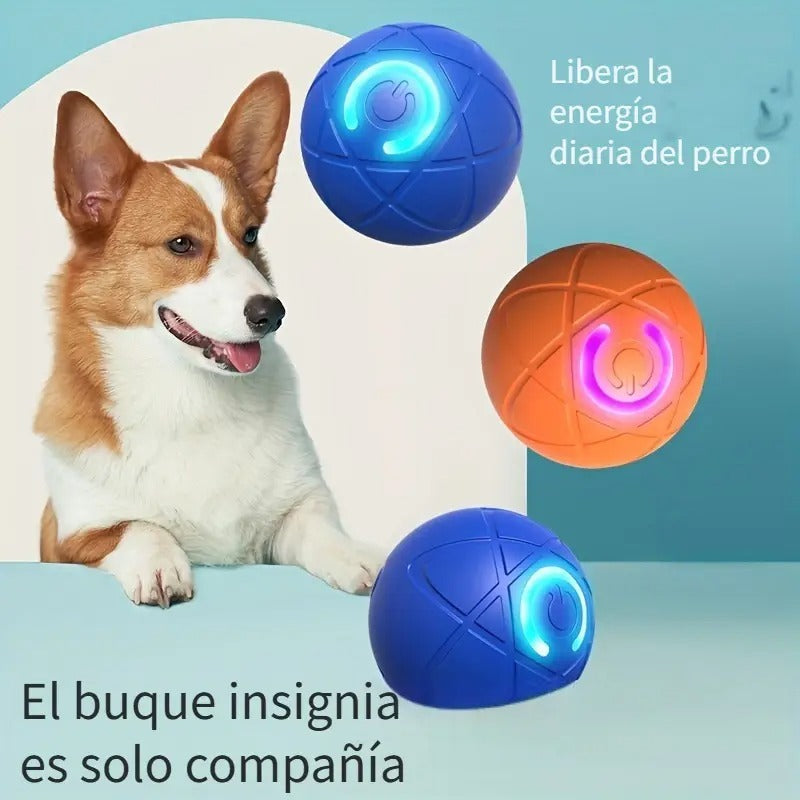 F - Juguete saltarin para perros