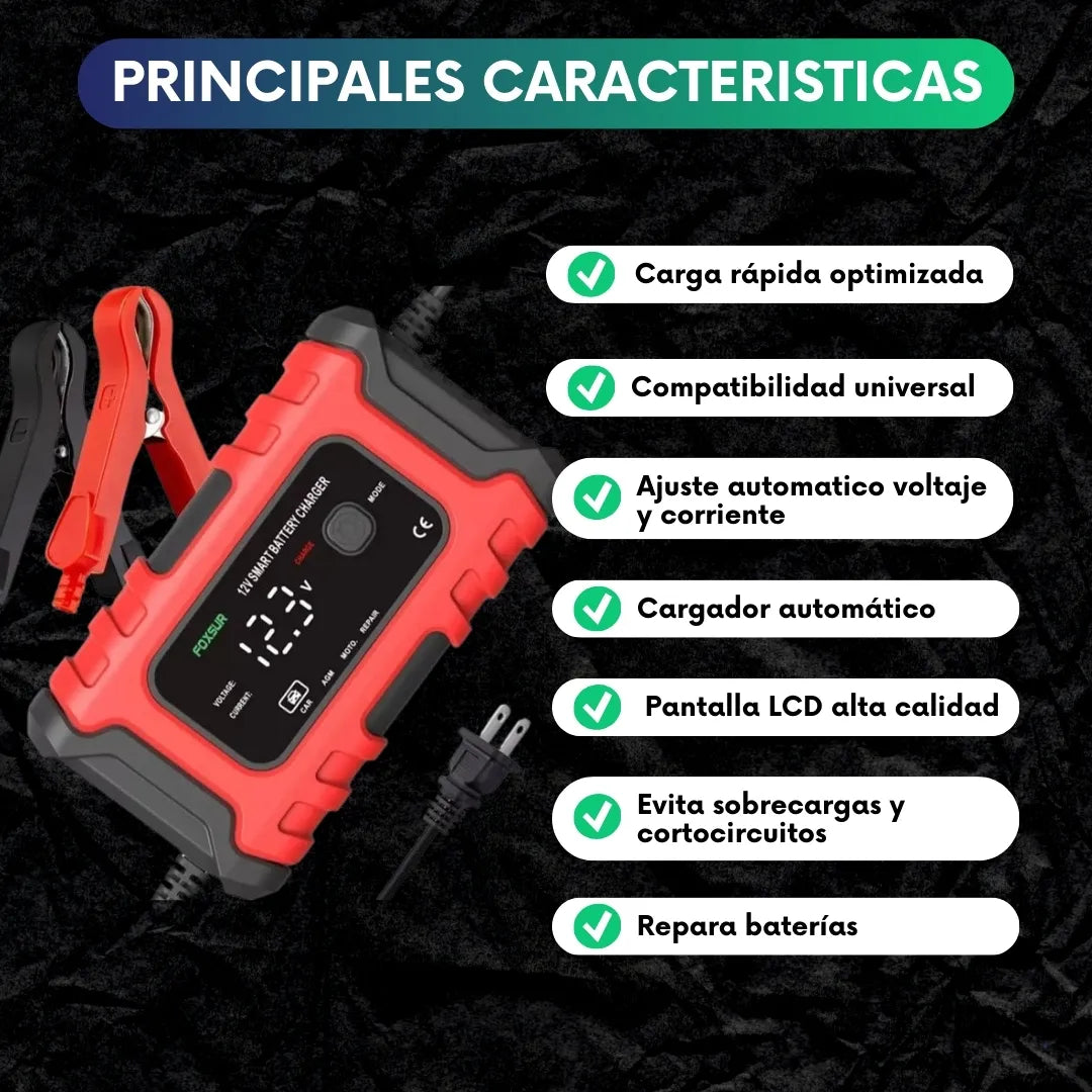 Cargador Reparador de baterias 12V