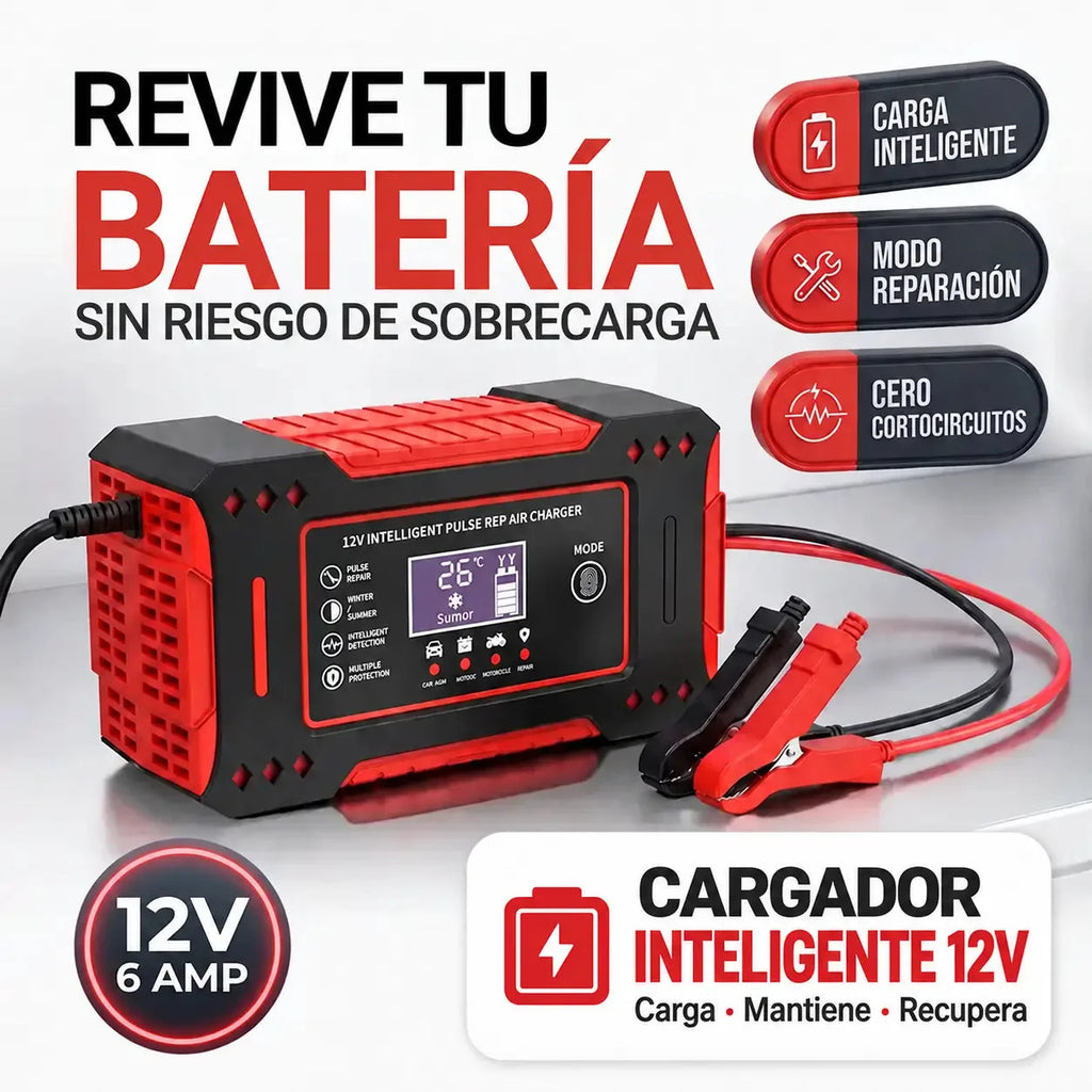 Cargador De Bateria Para Coche 12v