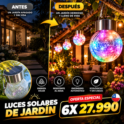 SOLARÉA™ | ILUMINA TU JARDIN Y TRANSFORMA TUS NOCHES