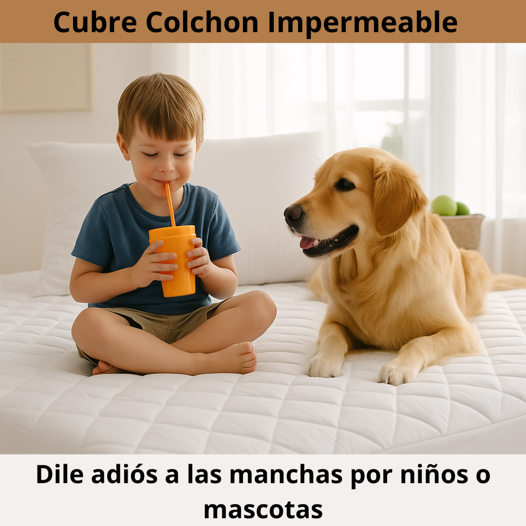 Cubre colchón impermeable + FUNDAS DE REGALO – Bloquea líquidos y manchas –